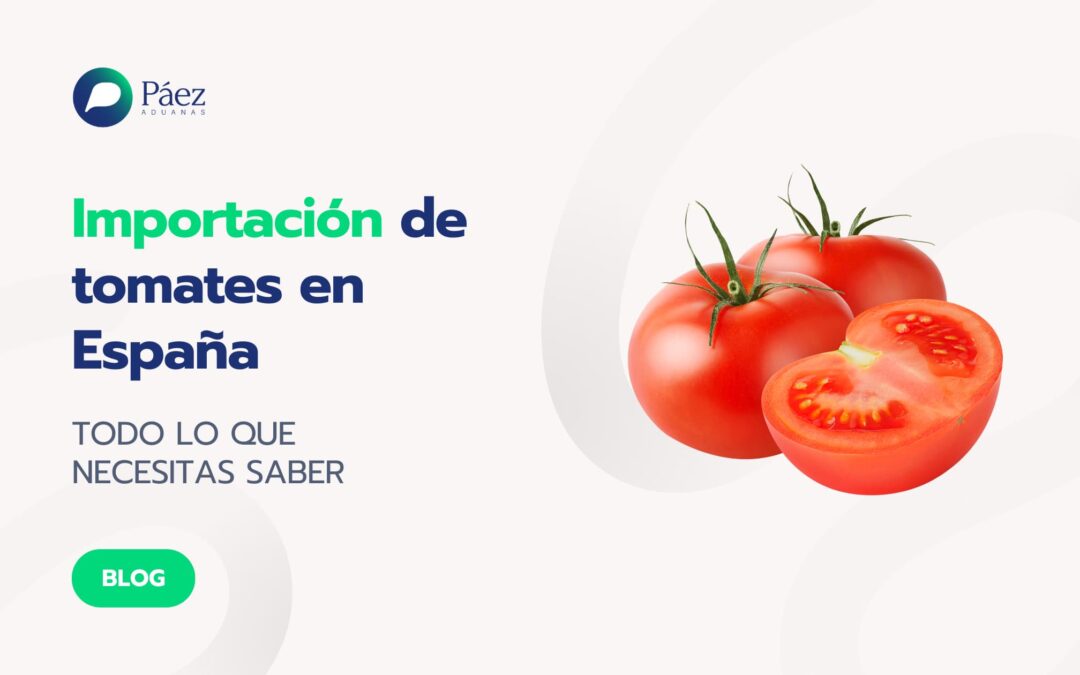 ¿Qué requisitos debes cumplir para importar tomates en España?